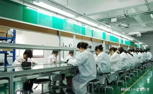 權力陰影下的私企車間 八年潛規則與營業性演出的驚人真相